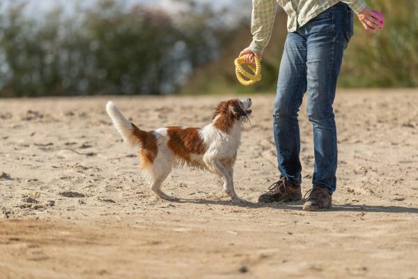 Trixie Aqua Toy Greifer Hundespielzeug